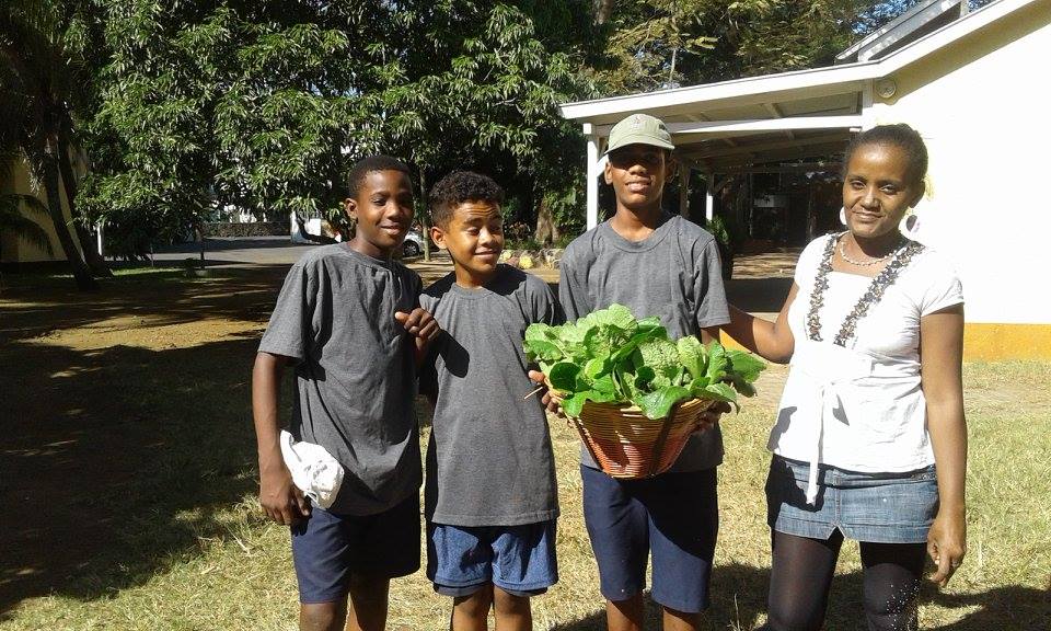 Élèves travaillant dans le jardin écologique de l'école