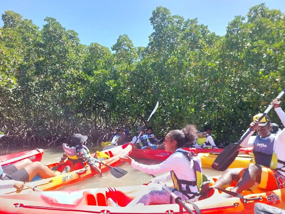 Élèves en kayak dans les mangroves — programme marin avec Reef Conservation